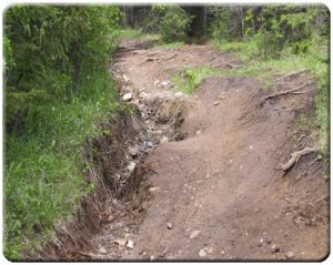 Trail Erosion